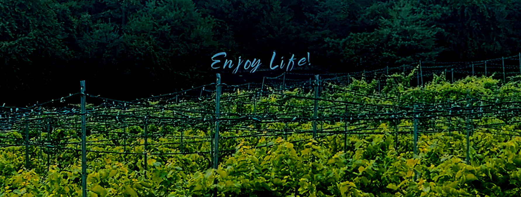 Enjoy Life!
